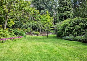 Optimiser l'expérience du jardin à Pouilly-le-Monial